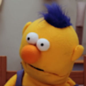 Meet your Posher, Evelyn